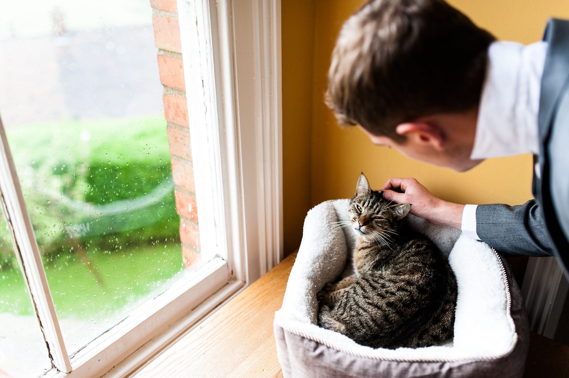 best man stroking a cat