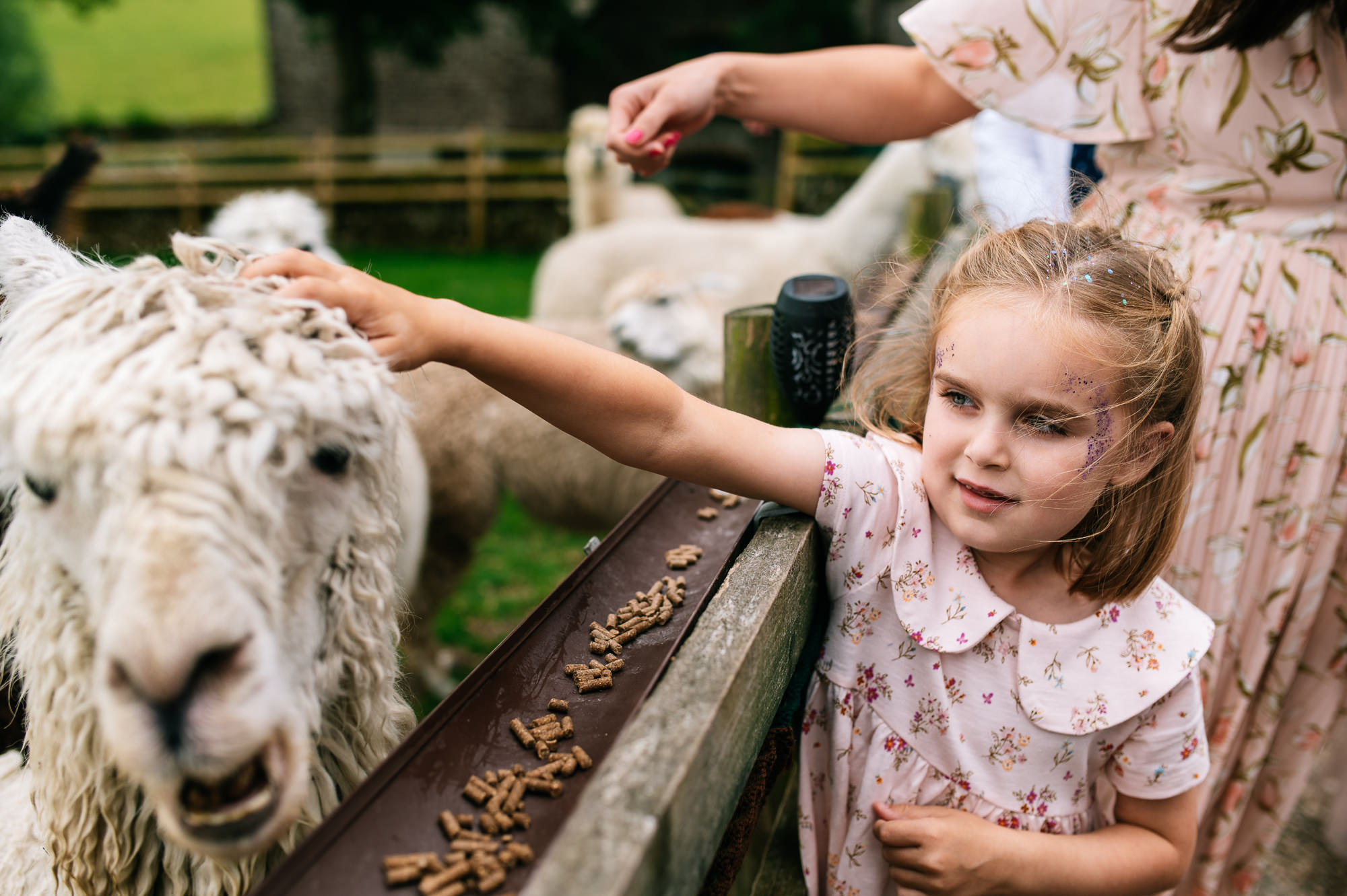 girl with facepaint on stroking an alpaca