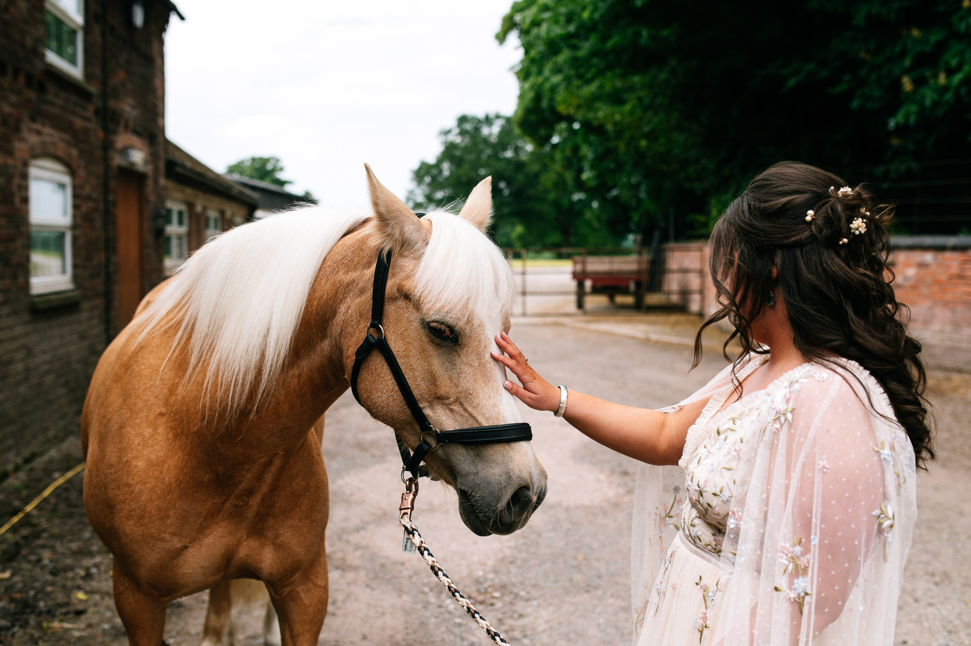 bride stroking her childhood horse