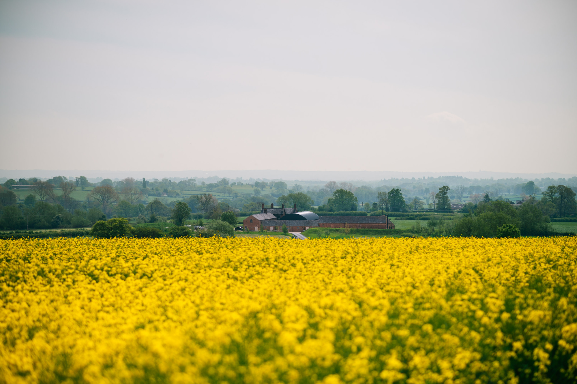 grangefields venue with yellow flowers in foreground