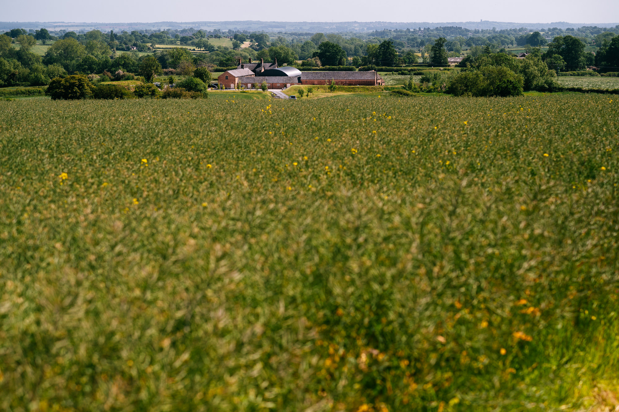 grangefields venue in the distance over a lush green field